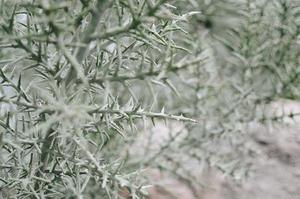 廢舊混凝土路面的脹裂破碎機(jī)理研究