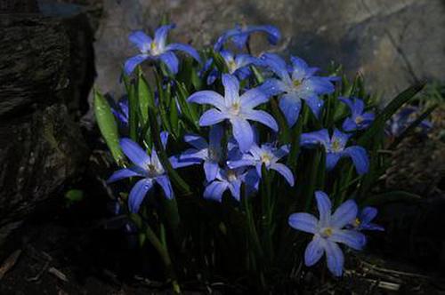 76858所有彩票網(wǎng)指導(dǎo)推薦