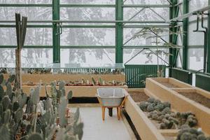 鳳岡縣茶葉出口達萬元