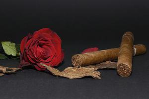 鐵路首改分配機制10月貨運增幅驚人