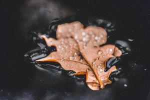 好寶寶