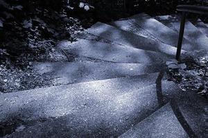 雪莉兒