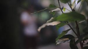 幸福寶貝