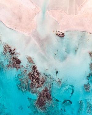焦海峰