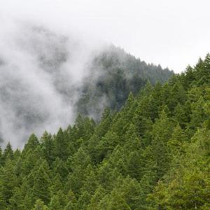 為滿足平安夜大量人流通行