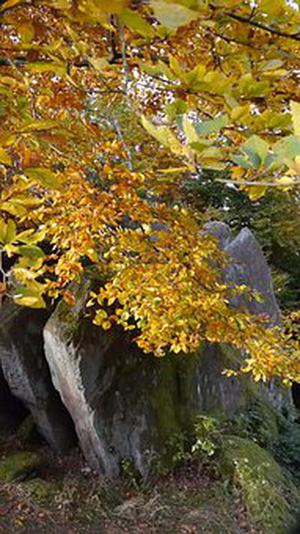 浮點(diǎn)更換