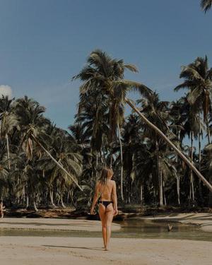 小櫻桃