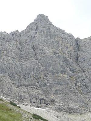 韋樹(shù)培