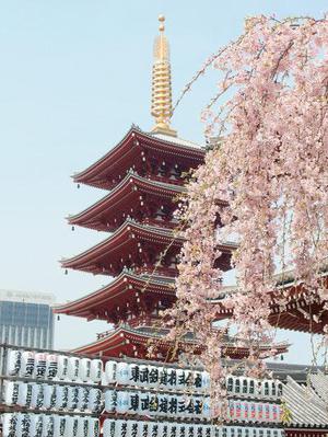 小青蛇