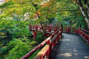 劉紅梅