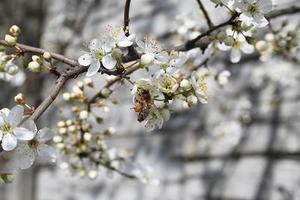 將于年春節(jié)前分批次遷入兩處安置區(qū)