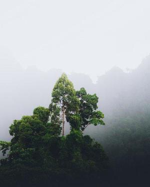 守護(hù)寶貝