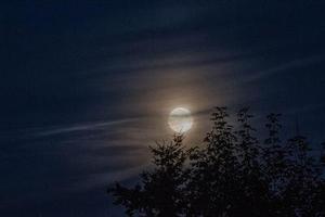 為滿足平安夜大量人流通行