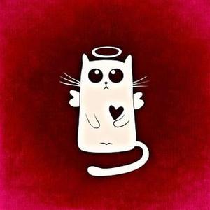 《嫌疑人x的獻(xiàn)身》:傾其所有為所愛之人保駕護(hù)航