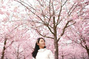櫻花の縼