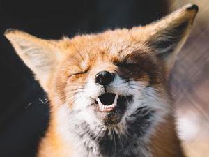 我是小徐