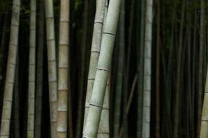 爾雅寶貝