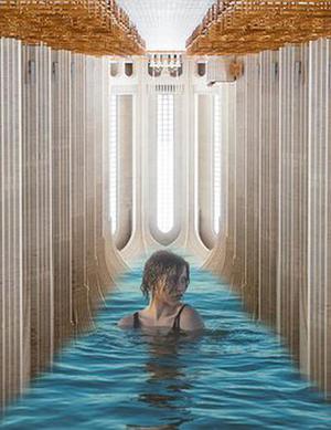 陸給給