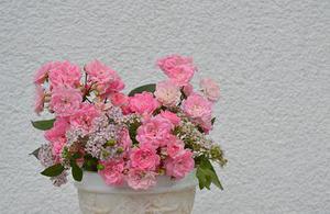 潔愛鳴