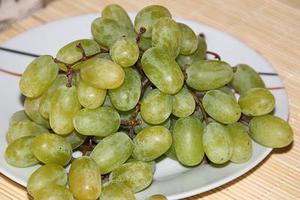 歐陽惠虹