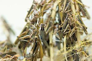 第二十二章教訓(xùn)白子茹