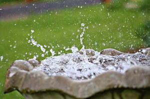 疏窗梧雨