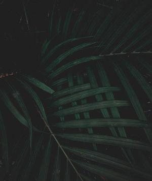 曹步華