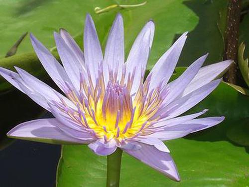 博牛彩票網(wǎng)免費說明更新