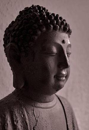 葉玉茶