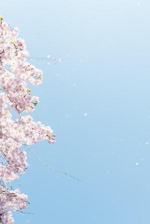 李秀秀