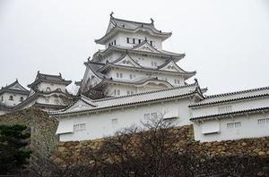 刁文宇