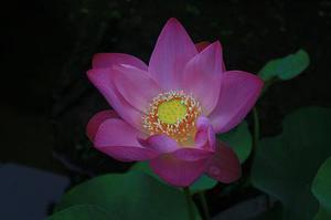 干活吧
