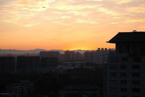 可能是