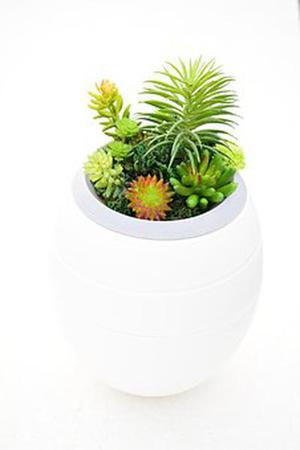 這是新的