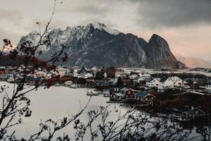 吳楊麗