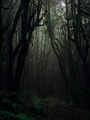 落淚情緒