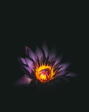 錢偉立
