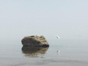 影評(píng) | 兩桿大煙槍：你以為的絕不是理所當(dāng)然的