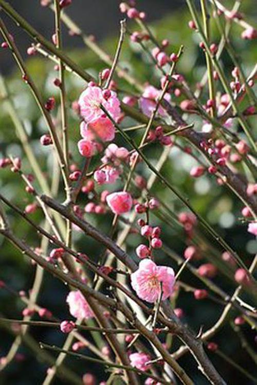 永旺彩票APP官網(wǎng)