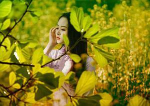 薄情寡意