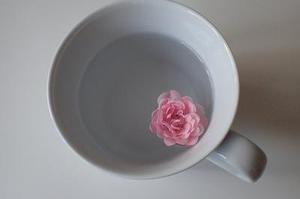 吳雨晴