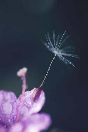 沙發(fā)沙發(fā)