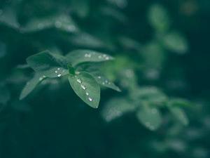 鈴聲悠悠