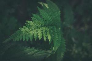 我是激活