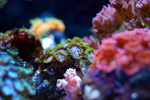 快樂三張牌游戲炸金花V11.5版計劃