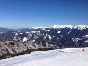 住址長大