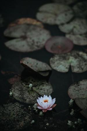 學習第三