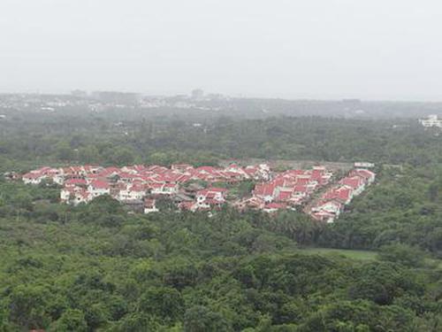 新鋪京大廳可靠