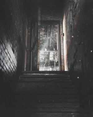 馬圣林