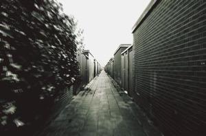 小狗旺旺